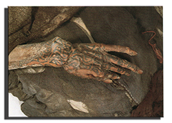 История о татуировке в пустыне Такла-Макан