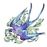 dsdsc