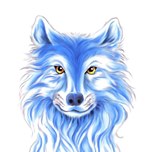 dsdsc
