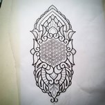 dsdsc