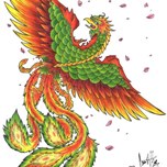 dsdsc