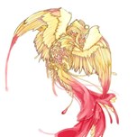dsdsc