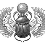 dsdsc