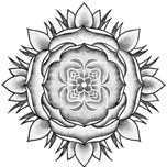 dsdsc