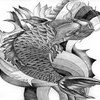 dsdsc