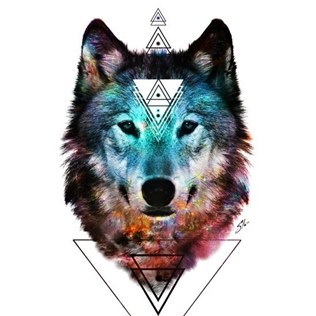dsdsc