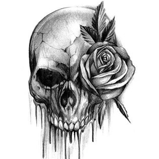 dsdsc