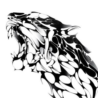 dsdsc