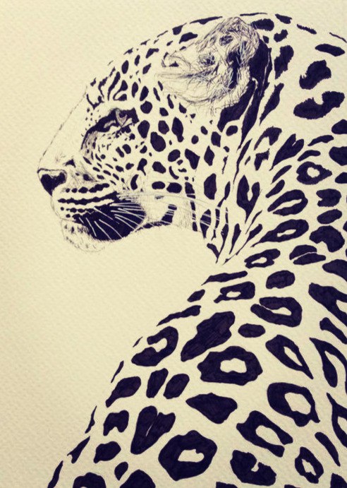 Значение тату леопард. Фото и эскизы татуировки леопард | Анатомия