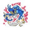 dsdsc