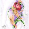 dsdsc